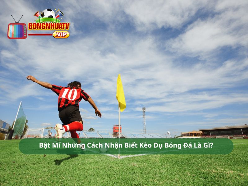 Bật Mí Những Cách Nhận Biết Kèo Dụ Bóng Đá Là Gì?