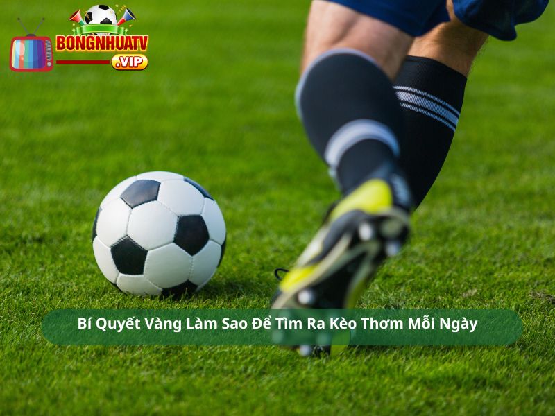 Bí Quyết Vàng Làm Sao Để Tìm Ra Kèo Thơm Mỗi Ngày