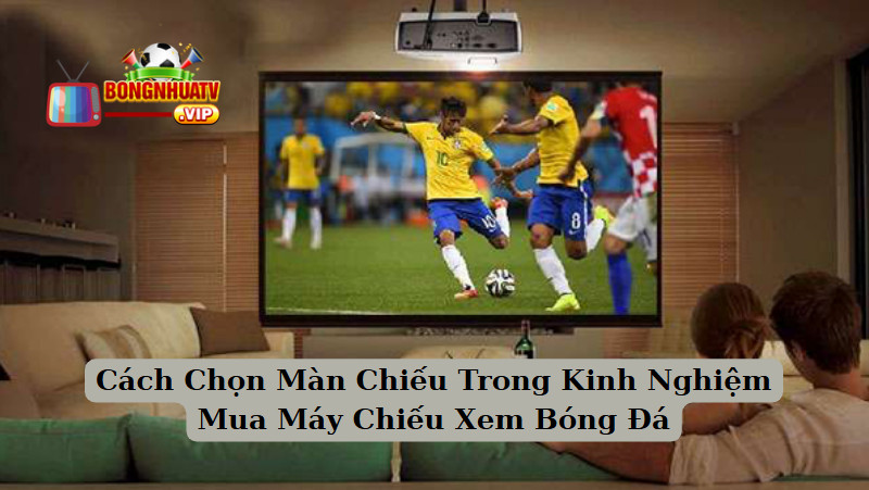 Cách Chọn Màn Chiếu Trong Kinh Nghiệm Mua Máy Chiếu Xem Bóng Đá