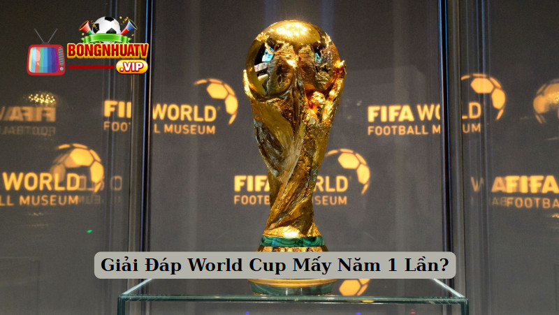Giải Đáp World Cup Mấy Năm 1 Lần