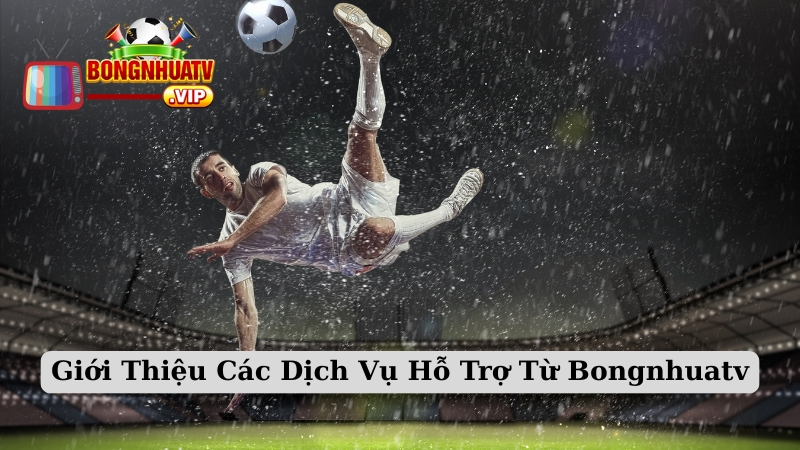 Giới Thiệu Các Dịch Vụ Hỗ Trợ Từ Bongnhuatv