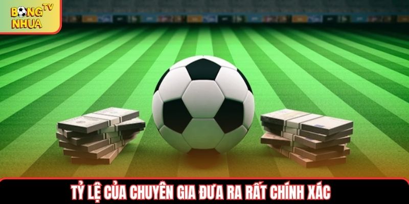 Tỷ lệ của chuyên gia đưa ra rất chính xác