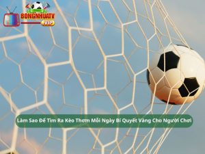 Làm Sao Để Tìm Ra Kèo Thơm Mỗi Ngày Bí Quyết Vàng Cho Người Chơi
