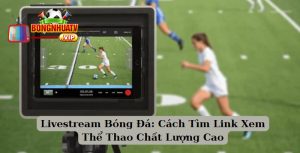 Livestream Bóng Đá: Cách Tìm Link Xem Thể Thao Chất Lượng Cao
