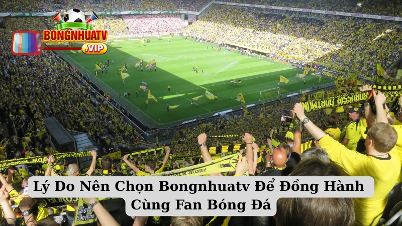 Lý Do Nên Chọn Bongnhuatv Để Đồng Hành Cùng Fan Bóng Đá