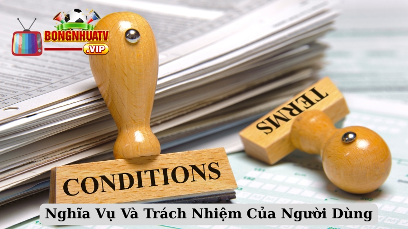 Nghĩa Vụ Và Trách Nhiệm Của Người Dùng