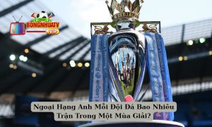 Ngoại Hạng Anh Mỗi Đội Đá Bao Nhiêu Trận Trong Một Mùa Giải?