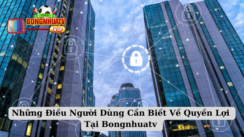 Những Điều Người Dùng Cần Biết Về Quyền Lợi Tại Bongnhuatv 