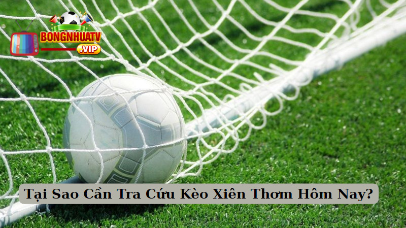 Tại Sao Cần Tra Cứu Kèo Xiên Thơm Hôm Nay?