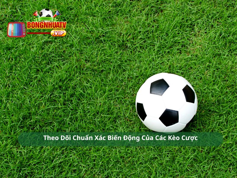 Theo Dõi Chuẩn Xác Biến Động Của Các Kèo Cược