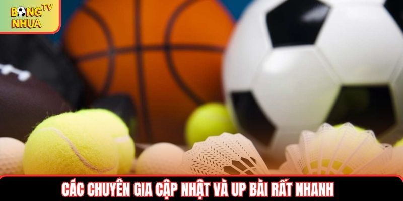 Các chuyên gia cập nhật và up bài rất nhanh