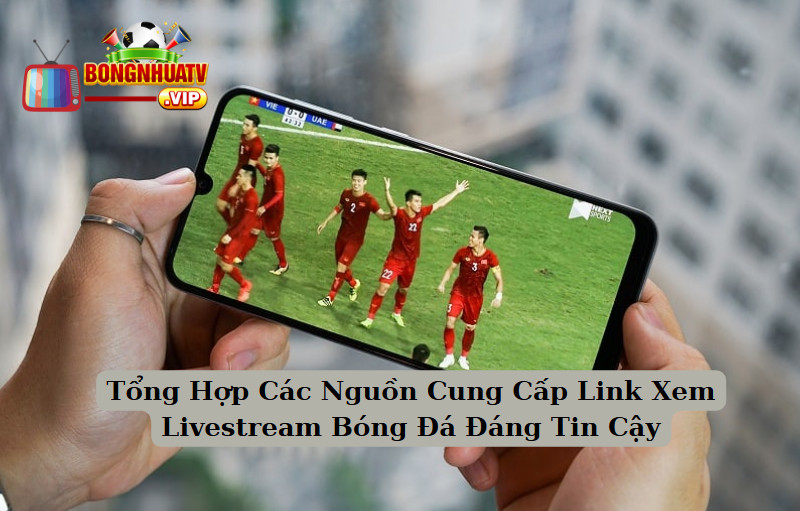 Tổng Hợp Các Nguồn Cung Cấp Link Xem Livestream Bóng Đá Đáng Tin Cậy