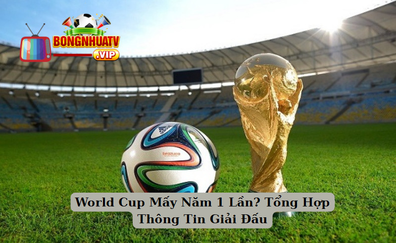 World Cup Mấy Năm 1 Lần? Tổng Hợp Thông Tin Giải Đấu