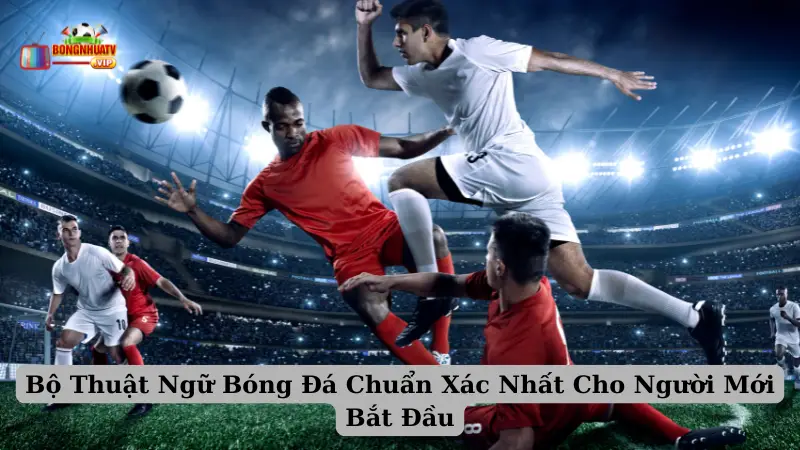 Bộ Thuật Ngữ Bóng Đá Chuẩn Xác Nhất Cho Người Mới Bắt Đầu