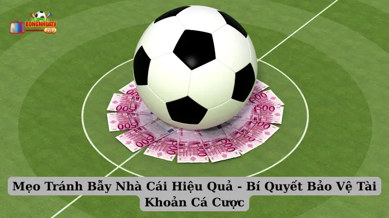 Mẹo Tránh Bẫy Nhà Cái Hiệu Quả - Bí Quyết Bảo Vệ Tài Khoản Cá Cược