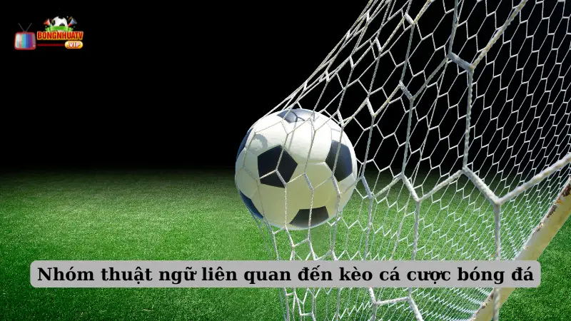 Nhóm thuật ngữ liên quan đến kèo cá cược bóng đá
