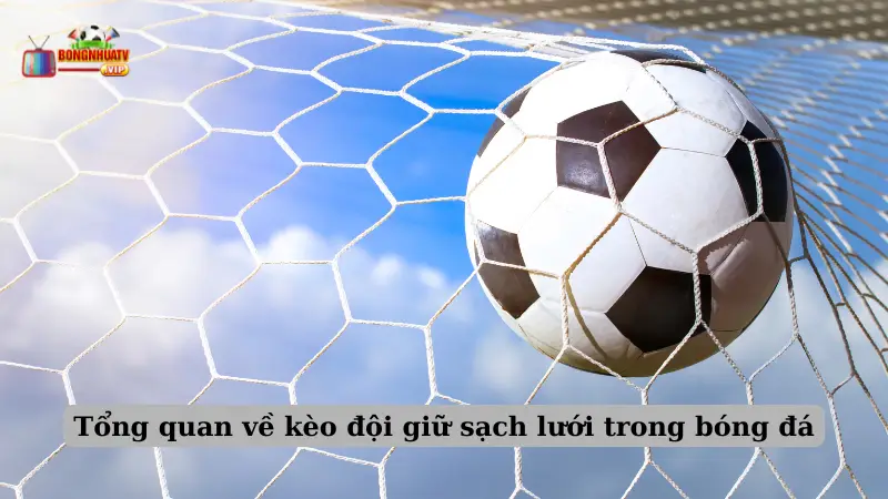 Tổng quan về kèo đội giữ sạch lưới trong bóng đá