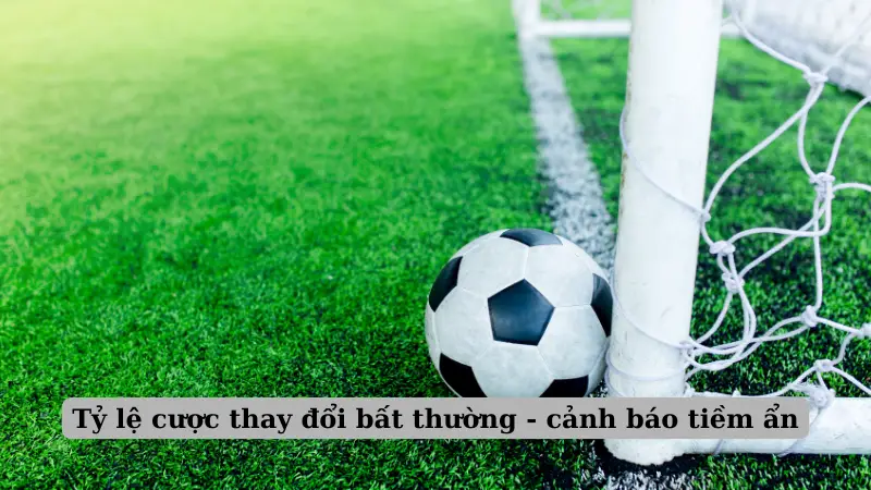 Tỷ lệ cược thay đổi bất thường - cảnh báo tiềm ẩn