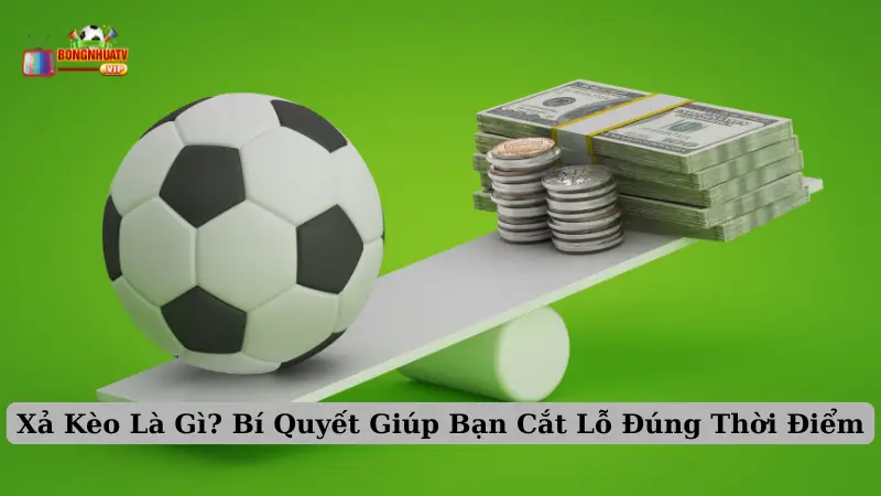 Xả Kèo Là Gì? Bí Quyết Giúp Bạn Cắt Lỗ Đúng Thời Điểm